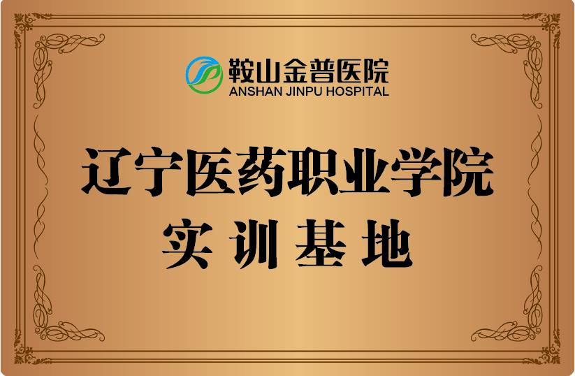 遼寧醫(yī)藥職業(yè)學(xué)院實訓(xùn)基地